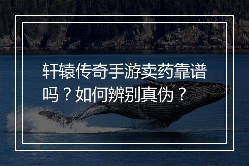轩辕传奇手游卖药靠谱吗？如何辨别真伪？