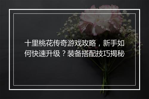 十里桃花传奇游戏攻略，新手如何快速升级？装备搭配技巧揭秘