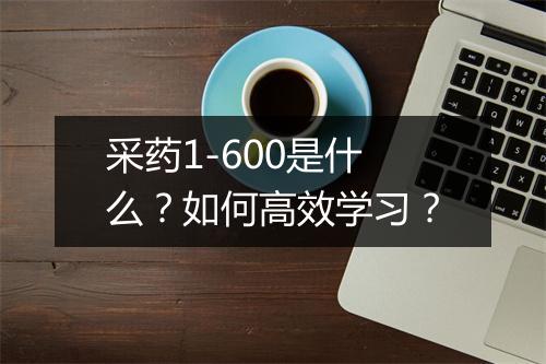 采药1-600是什么？如何高效学习？