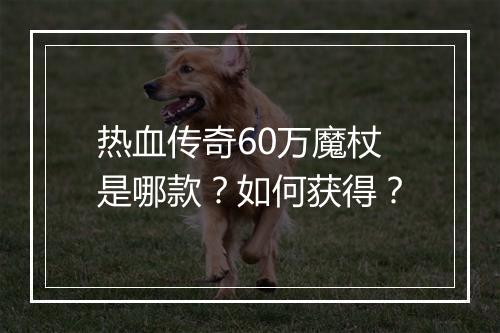 热血传奇60万魔杖是哪款？如何获得？