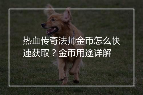 热血传奇法师金币怎么快速获取？金币用途详解