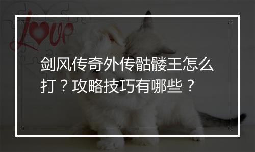 剑风传奇外传骷髅王怎么打？攻略技巧有哪些？