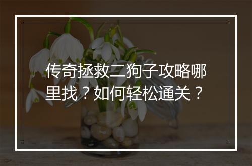 传奇拯救二狗子攻略哪里找？如何轻松通关？