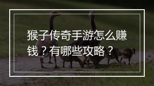 猴子传奇手游怎么赚钱？有哪些攻略？