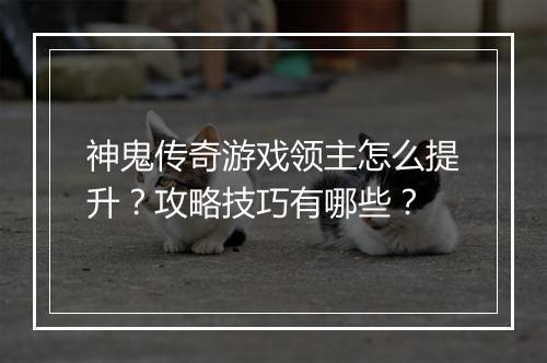 神鬼传奇游戏领主怎么提升？攻略技巧有哪些？