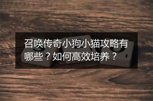 召唤传奇小狗小猫攻略有哪些？如何高效培养？