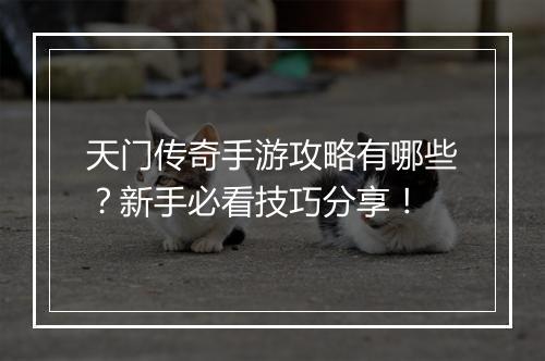 天门传奇手游攻略有哪些？新手必看技巧分享！