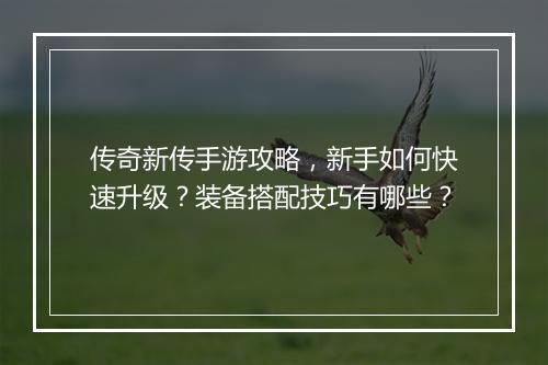 传奇新传手游攻略，新手如何快速升级？装备搭配技巧有哪些？