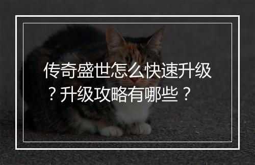 传奇盛世怎么快速升级？升级攻略有哪些？