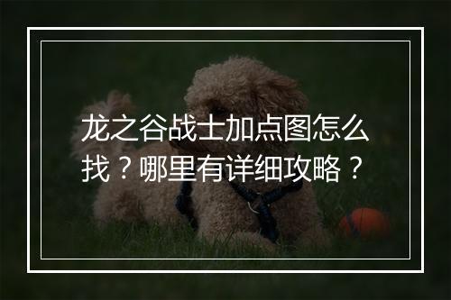 龙之谷战士加点图怎么找？哪里有详细攻略？
