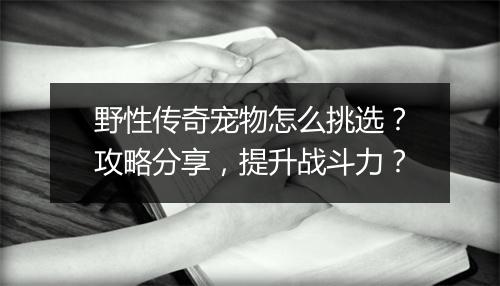 野性传奇宠物怎么挑选？攻略分享，提升战斗力？