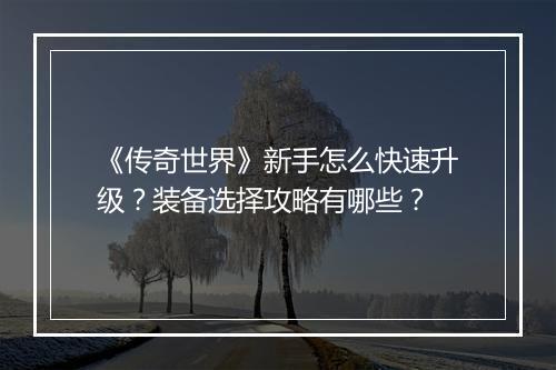 《传奇世界》新手怎么快速升级？装备选择攻略有哪些？