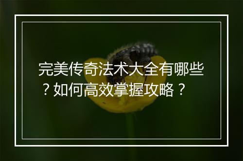 完美传奇法术大全有哪些？如何高效掌握攻略？