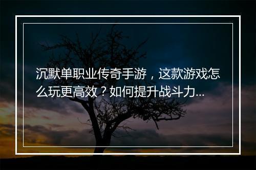 沉默单职业传奇手游，这款游戏怎么玩更高效？如何提升战斗力？