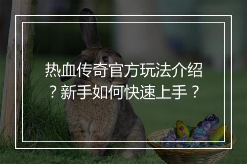 热血传奇官方玩法介绍？新手如何快速上手？