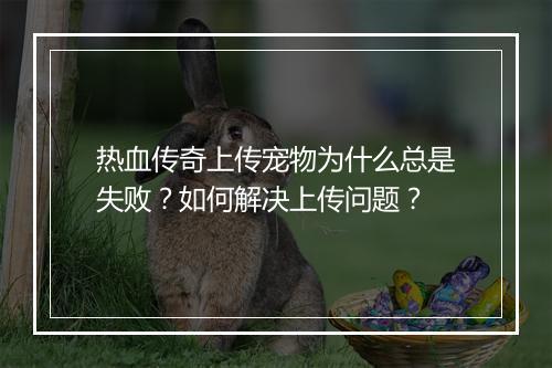 热血传奇上传宠物为什么总是失败？如何解决上传问题？