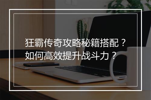 狂霸传奇攻略秘籍搭配？如何高效提升战斗力？