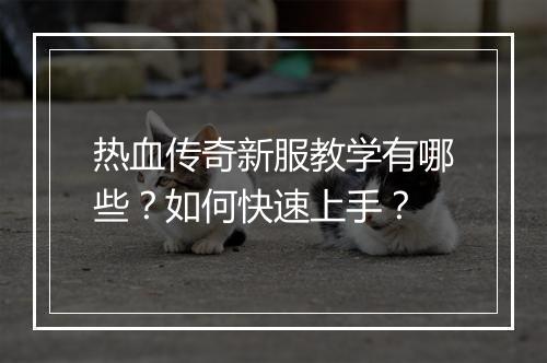 热血传奇新服教学有哪些？如何快速上手？