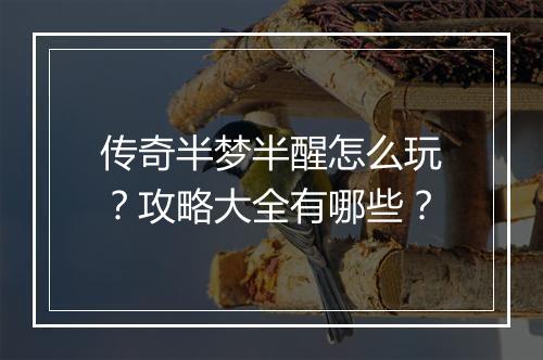 传奇半梦半醒怎么玩？攻略大全有哪些？