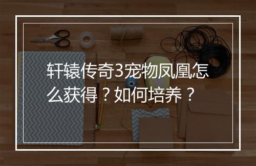 轩辕传奇3宠物凤凰怎么获得？如何培养？