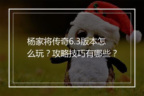 杨家将传奇6.3版本怎么玩？攻略技巧有哪些？