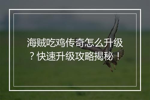 海贼吃鸡传奇怎么升级？快速升级攻略揭秘！