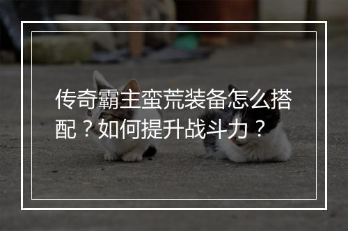 传奇霸主蛮荒装备怎么搭配？如何提升战斗力？