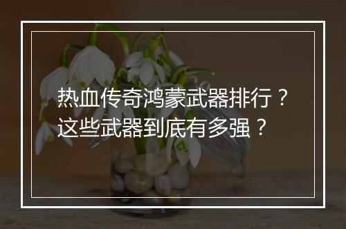 热血传奇鸿蒙武器排行？这些武器到底有多强？