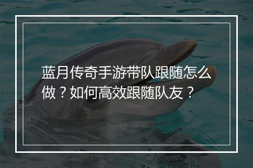 蓝月传奇手游带队跟随怎么做？如何高效跟随队友？