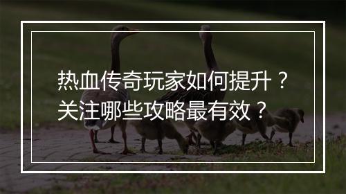 热血传奇玩家如何提升？关注哪些攻略最有效？