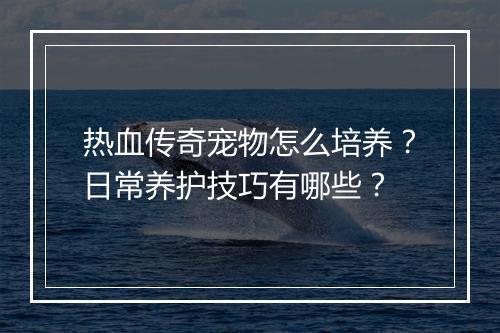 热血传奇宠物怎么培养？日常养护技巧有哪些？
