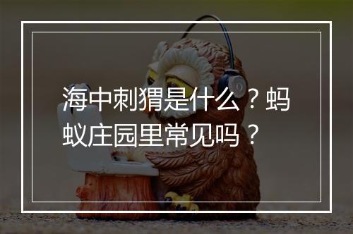 海中刺猬是什么？蚂蚁庄园里常见吗？