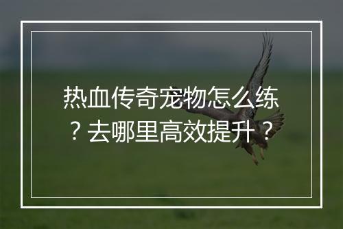 热血传奇宠物怎么练？去哪里高效提升？