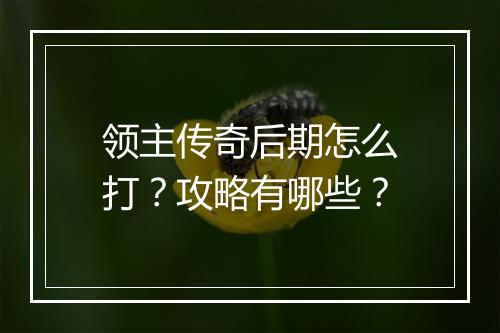 领主传奇后期怎么打？攻略有哪些？