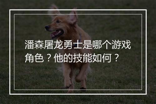 潘森屠龙勇士是哪个游戏角色？他的技能如何？