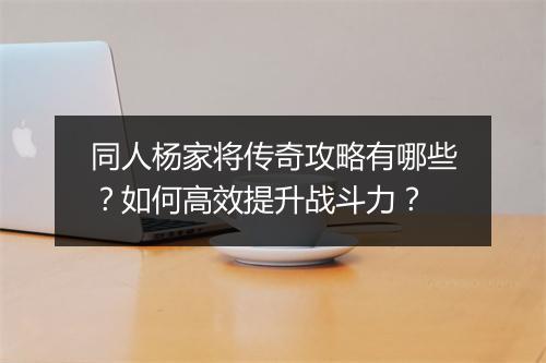 同人杨家将传奇攻略有哪些？如何高效提升战斗力？