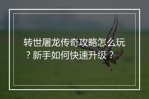 转世屠龙传奇攻略怎么玩？新手如何快速升级？