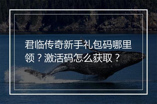 君临传奇新手礼包码哪里领？激活码怎么获取？