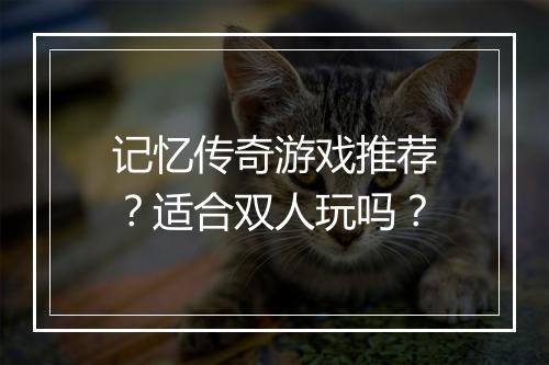 记忆传奇游戏推荐？适合双人玩吗？
