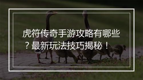 虎符传奇手游攻略有哪些？最新玩法技巧揭秘！