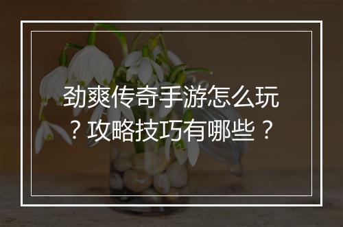 劲爽传奇手游怎么玩？攻略技巧有哪些？
