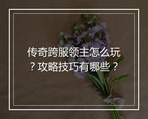传奇跨服领主怎么玩？攻略技巧有哪些？