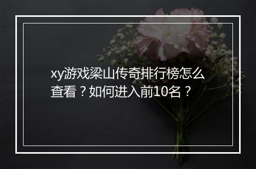 xy游戏梁山传奇排行榜怎么查看？如何进入前10名？