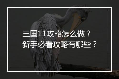 三国11攻略怎么做？新手必看攻略有哪些？