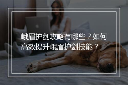 峨眉护剑攻略有哪些？如何高效提升峨眉护剑技能？