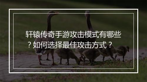 轩辕传奇手游攻击模式有哪些？如何选择最佳攻击方式？