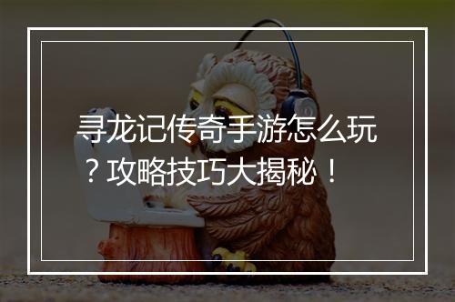 寻龙记传奇手游怎么玩？攻略技巧大揭秘！