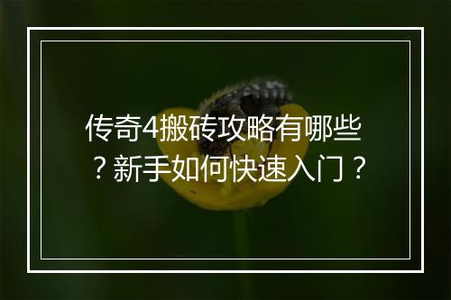 传奇4搬砖攻略有哪些？新手如何快速入门？