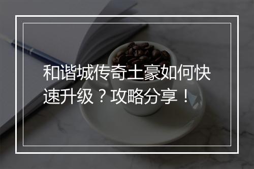和谐城传奇土豪如何快速升级？攻略分享！