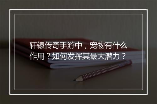 轩辕传奇手游中，宠物有什么作用？如何发挥其最大潜力？